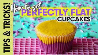 How To Get Perfectly FLAT Cupcakes  The Scran Line [upl. by Anceline687]