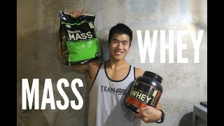 WHEY PROTEIN or MASS GAINER Tips for Beginner [upl. by Muhammad626]