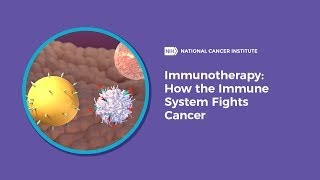 Immunotherapy How the Immune System Fights Cancer [upl. by Ibby]