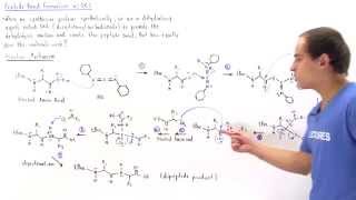 Peptide Bond Formation with DCC [upl. by Dremann]