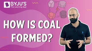 How is Coal Formed  Class 8 I Learn with BYJUS [upl. by Opalina]