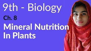 9th Class Biology  Ch 8 Nutrition  Mineral Nutrition in Plants  Matric Part 1 Biology [upl. by Ynaoj]