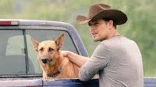 A Summer Romance 2019 Hallmark Movie Tribute Love on the Ranch [upl. by Marty]