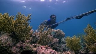 Bajau people of the Banda Sea  Rise of the Continents  Episode 2 Preview  BBC [upl. by Ytte418]