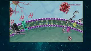 Amyloid Beta Processing [upl. by So]