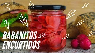 Receta de ENCURTIDO DE RABANITO 💯  Rápido y Fácil [upl. by Ythomit]