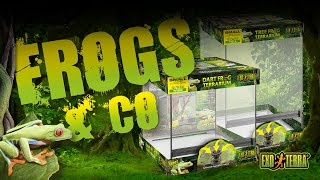 Exo Terra Frogs amp Co  Frog Terrariums [upl. by Idolah693]