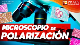 MICROSCOPIO DE POLARIZACIÓN [upl. by Albemarle694]