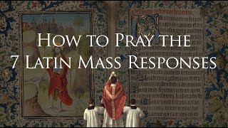 7 Latin Mass Responses to Memorize [upl. by Llerrot356]