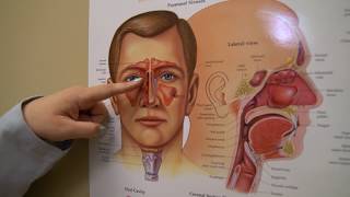 Nasal Endoscopy Procedure [upl. by Issac]