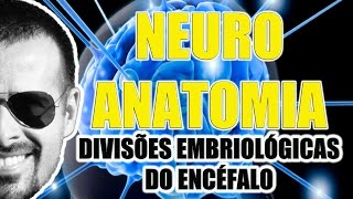 Divisões embriológicas do Encéfalo Sistema Nervoso Central  Neuroanatomia  VideoAula 070 [upl. by Phyl733]