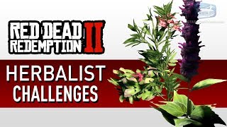 Red Dead Redemption 2  Herbalist Challenge Guide [upl. by Avonasac]