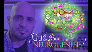 Neurogénesis ¿qué es [upl. by Torosian]