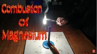 Combustion burning of Magnesium [upl. by Htebazile]