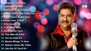 Best Romantic Song  Vol1  Kumar Sanu  Udit Narayan  Alka Yagnik [upl. by Ariajaj]