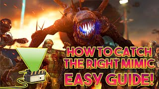 HOW TO DO THE ESSENCE TRAPMIMIC STEP ITS SO EASY FIREBASE Z COLDWAR ZOMBIES MIMIC LOCATIONS [upl. by Hedwig829]