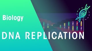 DNA Replication  Genetics  Biology  FuseSchool [upl. by Markowitz]