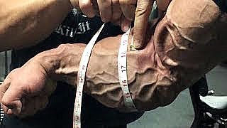 The Best Forearms in Bodybuilding [upl. by Laurie728]