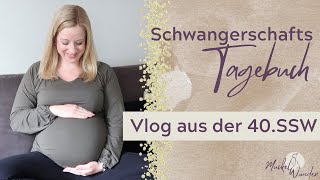 Vlog aus meiner 40 Schwangerschaftswoche🤰🏼 SchwangerschaftsTagebuch [upl. by Wu480]