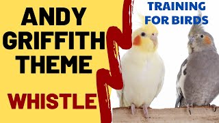 THE ANDY GRIFFITH SHOW THEME WHISTLE  Cockatiel Singing Training  Bird Whistling Practice [upl. by Sherl]