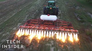 How These FlameThrowing Tractors Kill Weeds [upl. by Susie]