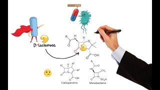 Pharmacology – ANTIBIOTICS – CELL WALL amp MEMBRANE INHIBITORS MADE EASY [upl. by Knudson]