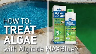 Kill amp Prevent Algae Pool Time® [upl. by Nauh]