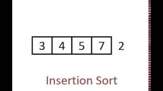 Insertion Sort  Animation Video [upl. by Ariajaj352]