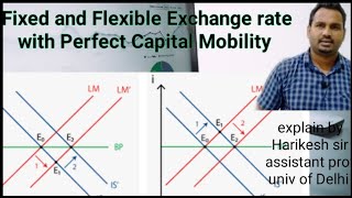 Fixed And Flexible Exchange Rate with perfect capital mobility [upl. by Nichol]