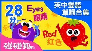 英中雙語 單詞合集兒歌合集  Learn Chinese and English together  碰碰狐PINKFONG  兒童兒歌 [upl. by Slaohcin]