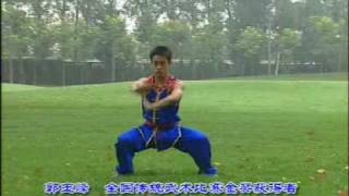 Wushu Nan Quan 1 [upl. by Noled]