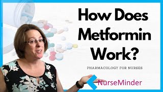 How Does Metformin Work Pharmacology for Nurses [upl. by Ginelle]