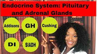 Endocrine System Adrenal and Pituitary Glands [upl. by Pittman]