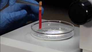 Working with Proteins [upl. by Flemings692]