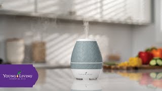 Sweet Aroma™ Ultrasonic Diffuser  Young Living Essential Oils [upl. by Ymmik344]