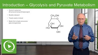 Introduction Glycolysis and Pyruvate Metabolism – Biochemistry  Lecturio [upl. by Tchao52]