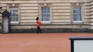 Guardsman in Trouble Over Buckingham Palace Pirouette  Forces TV [upl. by Georgetta378]