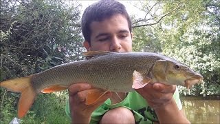 Vissen in de Ardennen part 2  Barbeel  barbel [upl. by Akeemahs934]