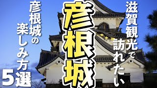 【滋賀旅行観光】彦根市のシンボル「彦根城」！５つの楽しみ方 [upl. by Volpe561]