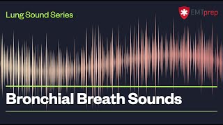 Bronchial Breath Sounds  EMTprepcom [upl. by Taub47]