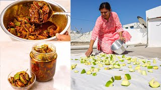 आम का असली अचार कैसे बनाते है  Mango Pickle Recipe  Traditional Aam Ka Achar  Kabitaskitcen [upl. by Tatianas]