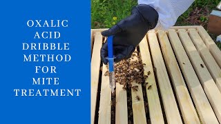 Oxalic Acid Dribble Method For Mite Treatment [upl. by Strain]