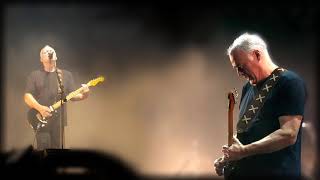 David Gilmour  I migliori assoli di chitarra [upl. by Eartnoed]