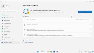 Posponer actualizaciones de Windows 10  11  PAUSAR ACTUALIZACION [upl. by Elehcin673]