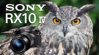 Sony RX10 Mk IV Review Ultimate Fixed Lens Camera [upl. by Ahsemat124]