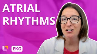 Atrial Rhythms  EKG Interpretation  LevelUpRN [upl. by Ecinnahs]