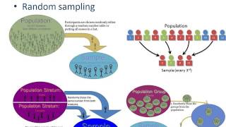 Sampling in Quantitative Research [upl. by Bille948]