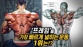 과학적으로 밝혀진 최고의 등 넓히는 운동턱걸이 VS 랫풀다운 [upl. by Cire]