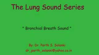 Breath Sound  Bronchial vs Vesicular [upl. by Dennet]