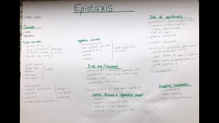 Epistaxis nose bleed  cause location vessels treatment consultation Littels area [upl. by Merceer]